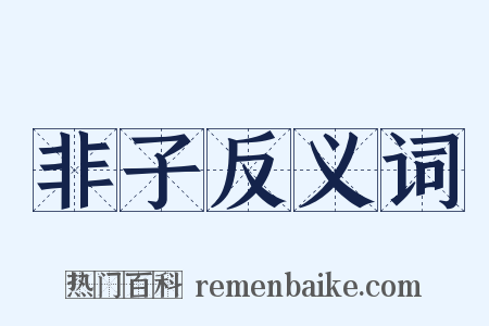 非子反义词是什么意思的图片